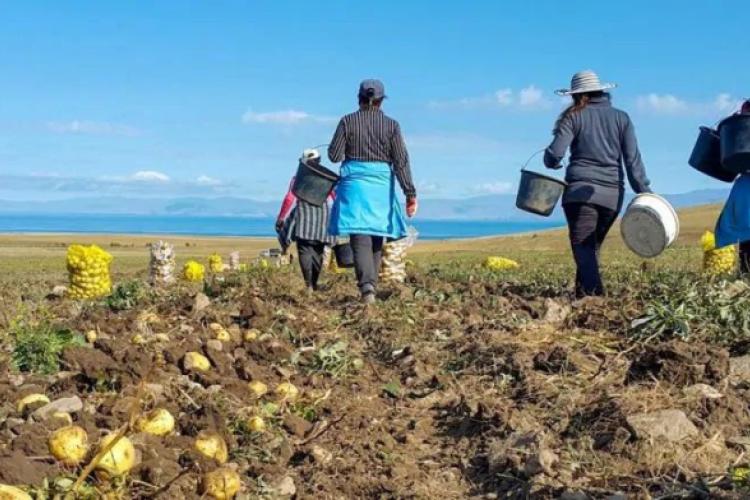 Firmele care angajează zilieri, sub lupa ITM featured image