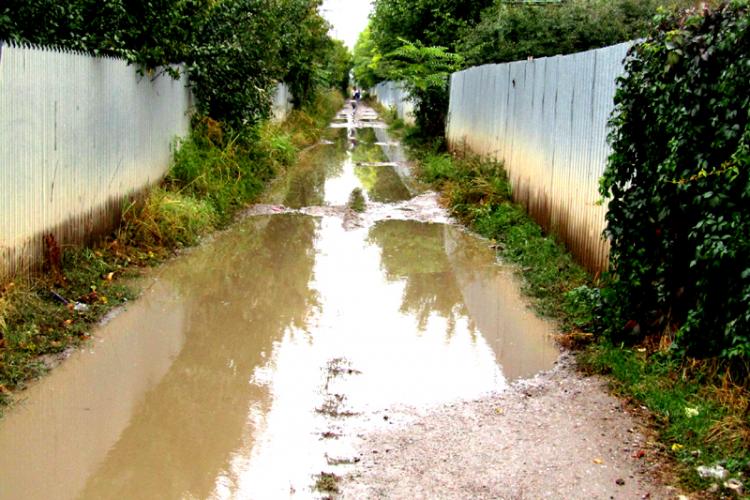 Cu apa din gard în gard featured image