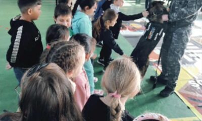 «Școala Altfel» cu polițiști, la Ianca featured image