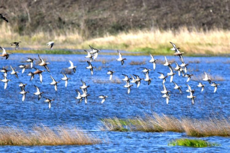 Un deceniu de activități prietenoase cu natura în curțile școlilor din România! featured image