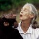 In Memoriam Jane Godall! O mare iubitoare de natură featured image