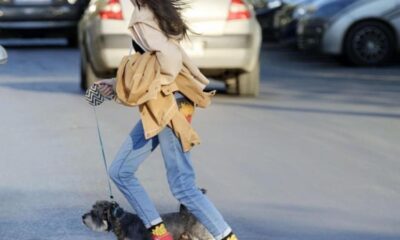 În acest an, zeci de accidente rutiere grave, cu 11 morți featured image