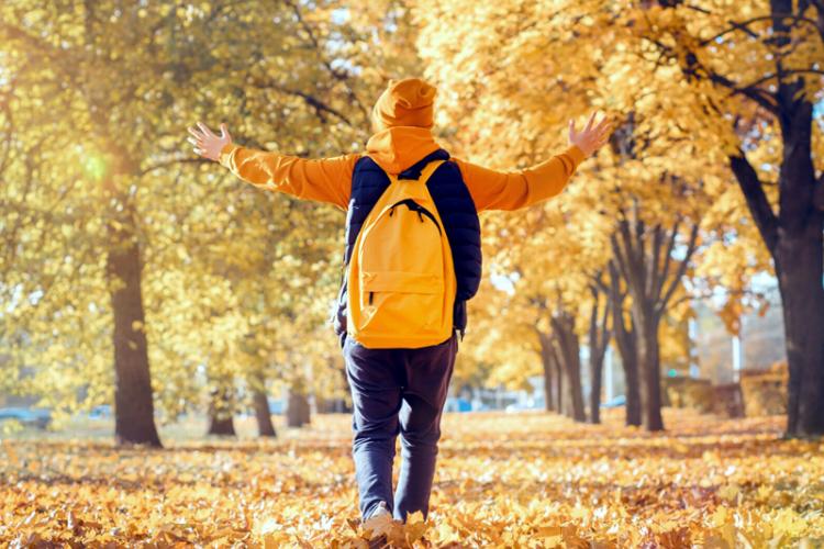 Prima vacanță a anului școlar 2025–2026 featured image