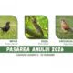 Pasărea Anului 2026 featured image