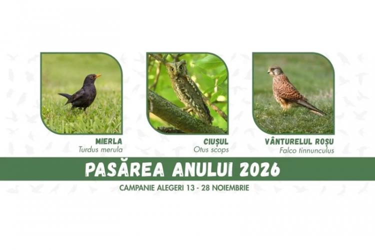 Pasărea Anului 2026 featured image