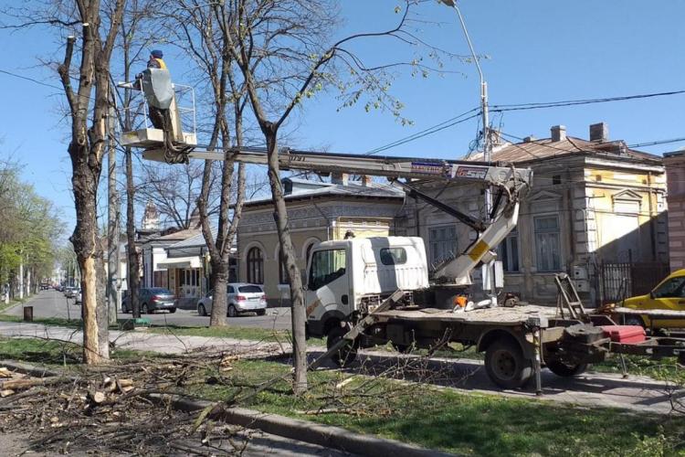 Echipele „Seroplant” lucrează la pregătirea spațiilor verzi pentru iarnă featured image