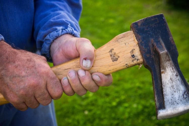 Dosarul «Atac cu toporul la petrecere». Pedeapsă redusă featured image