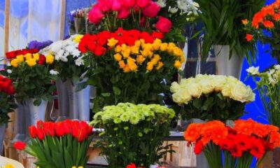 Flori aduse din Olanda, comercializate ilegal în Brăila featured image