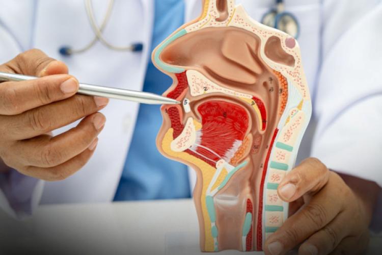 Cât de mult valorează zâmbetul tău? 8 perspective neașteptate despre sănătatea orală și impactul ei asupra corpului featured image