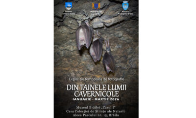 expozitie fotografie