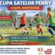 cupa-satelor
