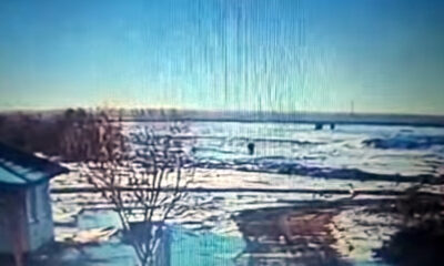 copil injunghiat braila