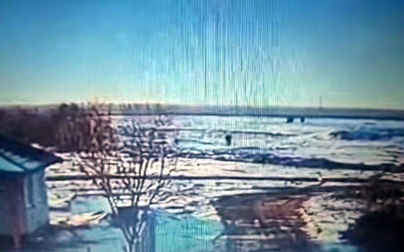 copil injunghiat braila