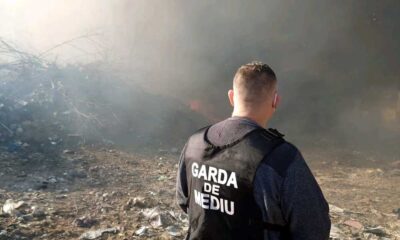 Activitatea Gărzii de Mediu Brăila în 2025